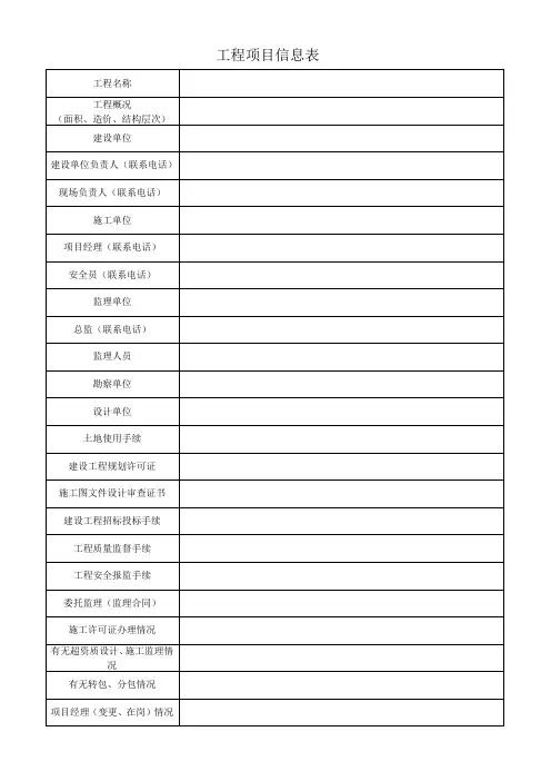 工程项目信息表