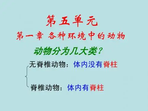八上 5.1.1水中