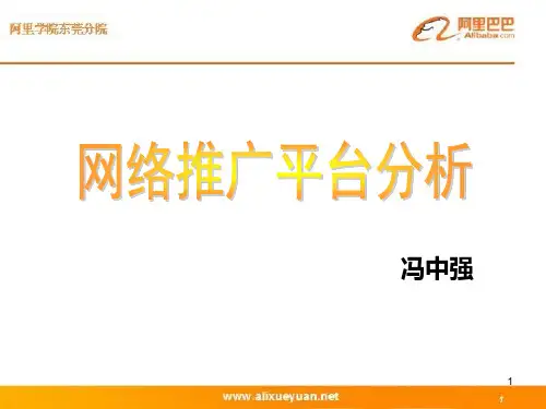 网络推广平台分析PPT课件