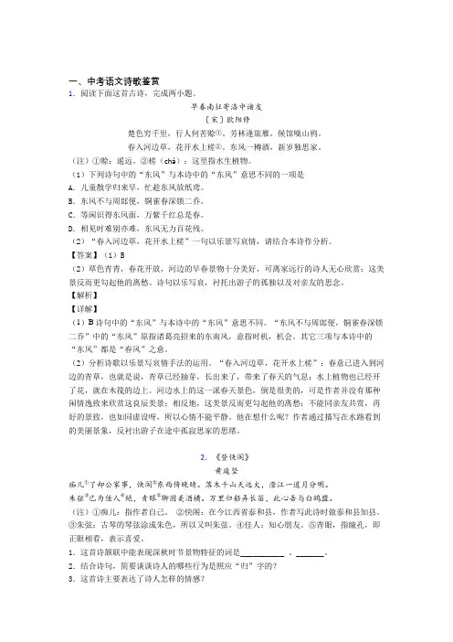 全国各地备战中考语文分类：诗歌鉴赏综合题汇编附答案