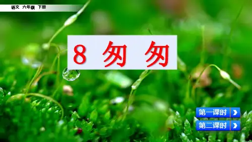 最新部编版六年级语文下册课件(精华版)8 匆匆