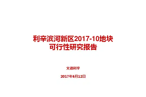利辛滨河新区2017-10地块可行性研究报告