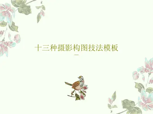 十三种摄影构图技法模板共65页文档