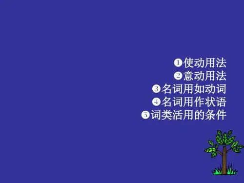 古代汉语词类活用