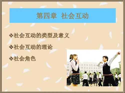 社会互动