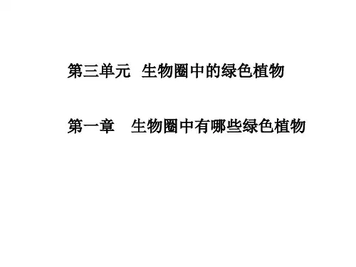 广东中考生物《第三单元 第一章 生物圈中有哪些绿色植物》复习课件