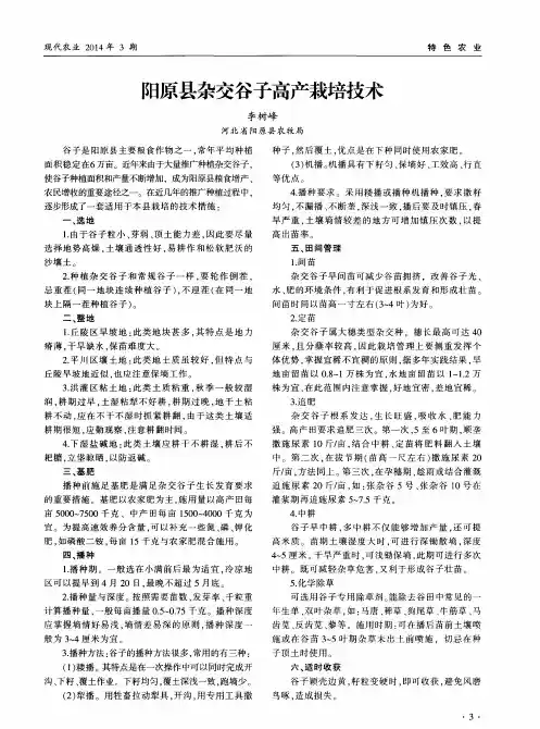 阳原县杂交谷子高产栽培技术