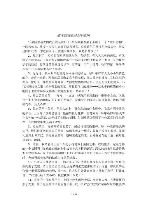 描写菜园的经典好词佳句