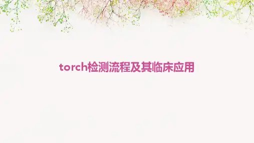 torch检测流程及其临床应用