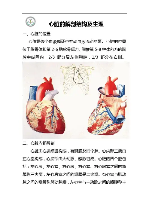 心脏的解剖结构与生理[含彩图]