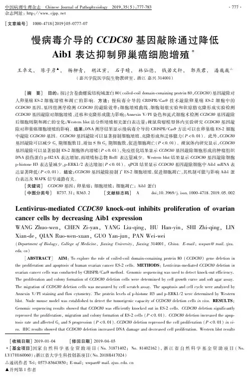 慢病毒介导的CCDC80基因敲除通过降低Aib1表达抑制卵巢癌细胞增殖