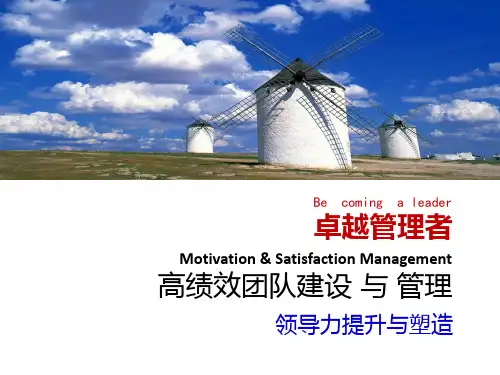 团队建设领导力提升与塑造如何打造高绩效团队