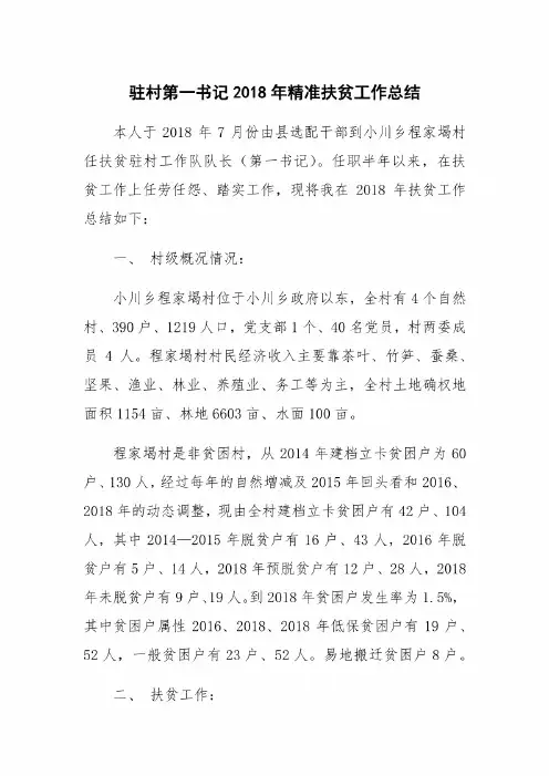 驻村第一书记2018年精准扶贫工作总结