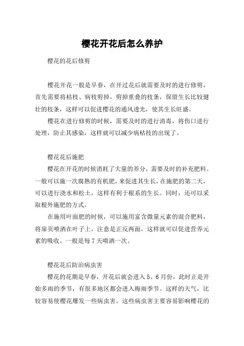 樱花开花后怎么养护