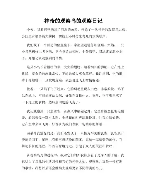 小学三年级作文神奇的观察鸟的观察日记