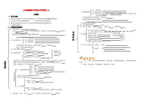 光现象导学案