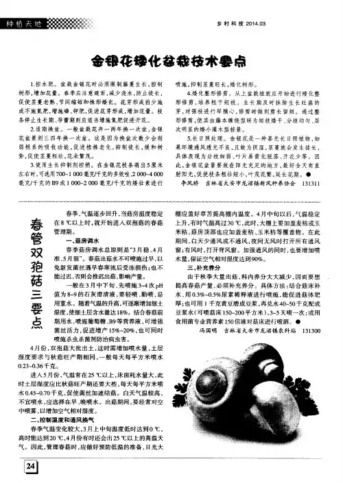 金银花矮化盆栽技术要点