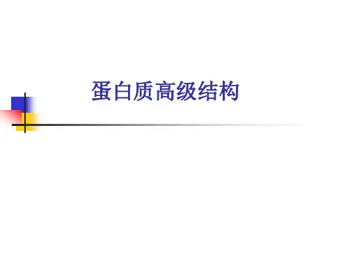 生物化学-蛋白质的结构