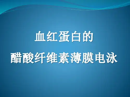 血红蛋白醋酸纤维薄膜电泳