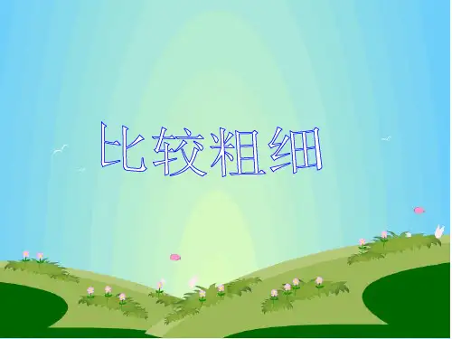 比较粗细中班科学