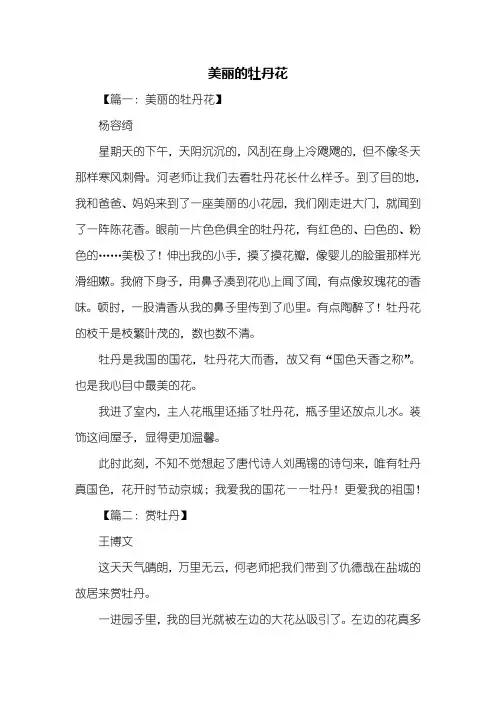写景作文：美丽的牡丹花作文300字