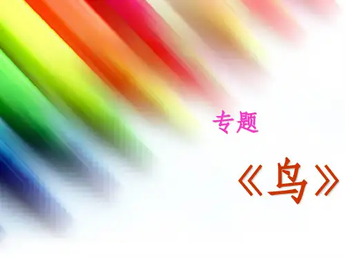 《册专题《鸟》PPT课件