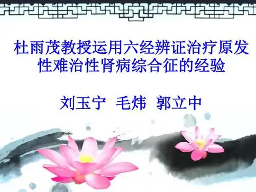 杜师经验介绍会议ppt