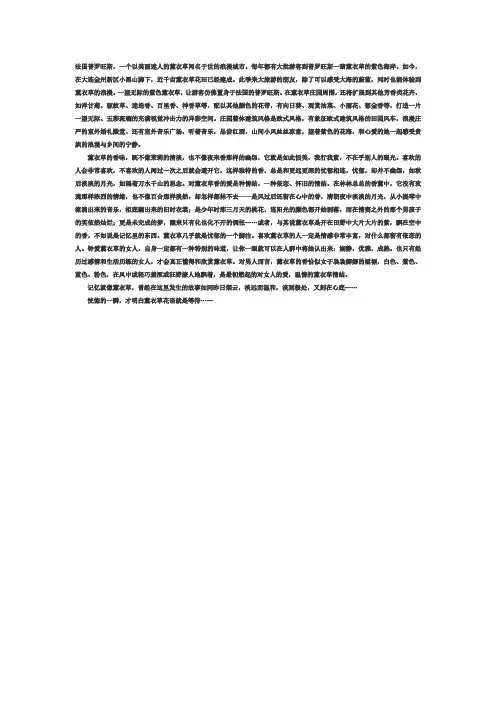 法国普罗旺斯