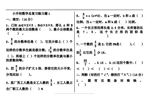 青岛版数学小升初复习试题总