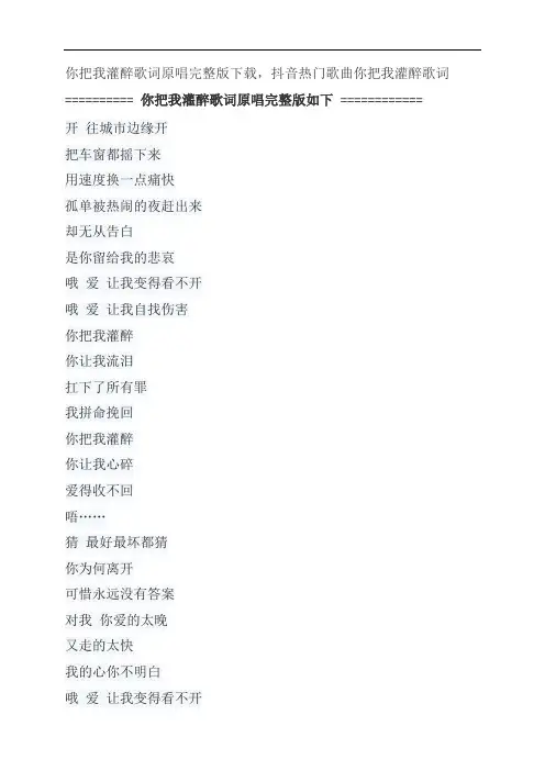 你把我灌醉歌词原唱完整版下载,黄大炜抖音热门歌曲你把我灌醉歌词