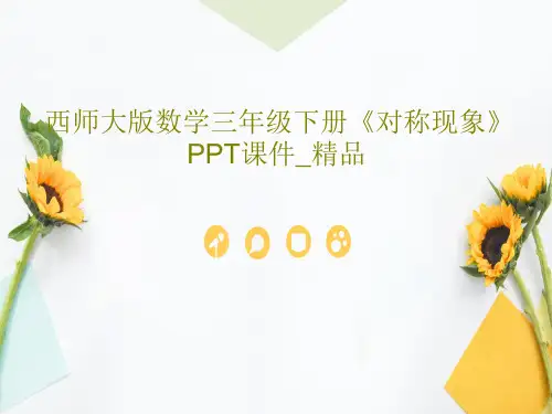 西师大版数学三年级下册《对称现象》PPT课件_精品共16页文档