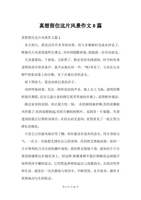 真想留住这片风景作文8篇