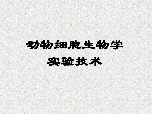细胞生物学实验技术(二)