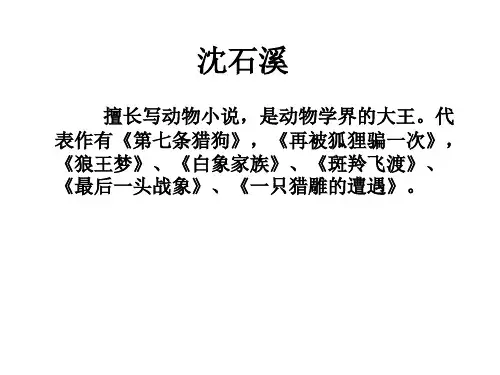 23最后一头战象(2014)