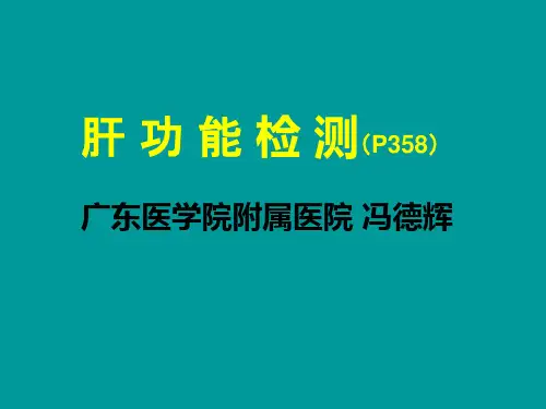 肝功能检查PPT
