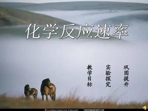人教版高中化学《选修4》课件化学反应速率