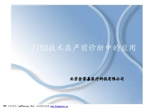 产前诊断