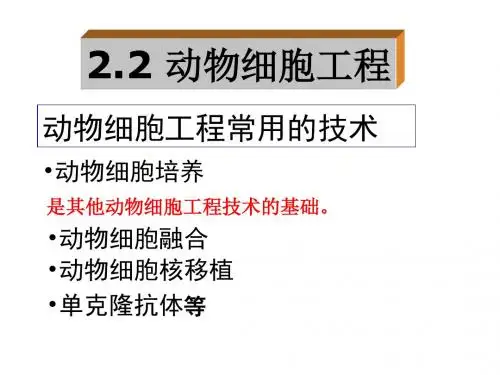 高二生物动物细胞工程5