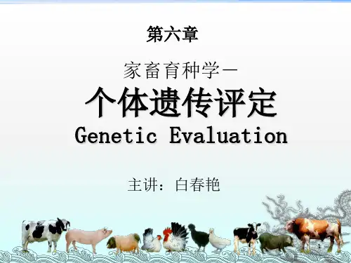 《个体遗传评定》PPT课件