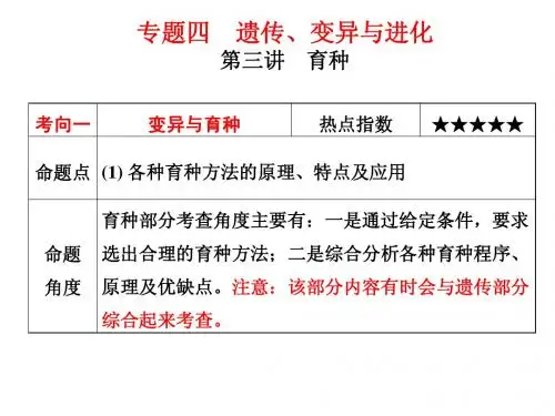 专题四：第四讲 育种