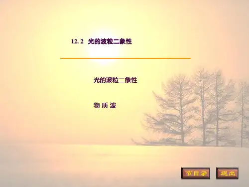 12.2  光的波粒二象性ppt课件