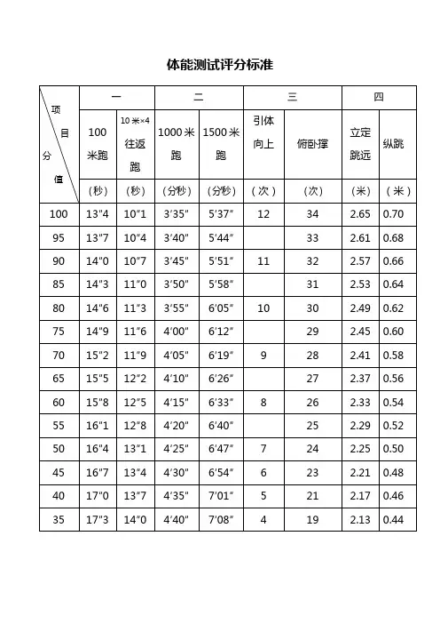 体能测试评分标准
