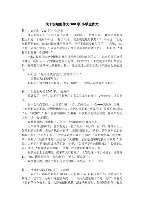 关于钥匙的作文300字_小学生作文