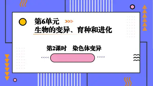 高考生物一轮复习:染色体变异课件