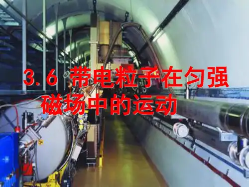 人教版 高二物理 选修3-1 第三章 3.6 带电粒子在匀强磁场中的运动(共21张PPT)[优质实用版课件]
