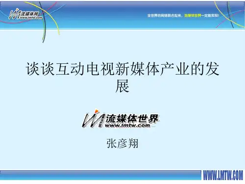 互动电视新媒体产业的发展
