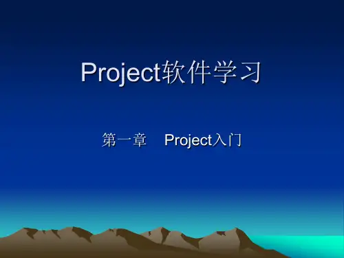 Project软件学习