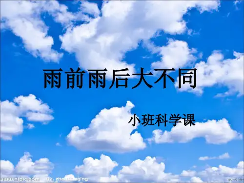 雨前雨后