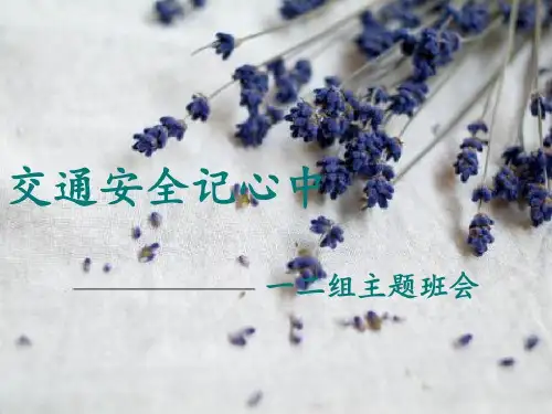 交通安全记心中PPT..19页PPT