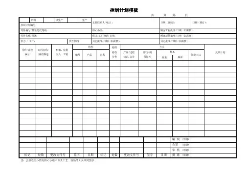 控制计划模板